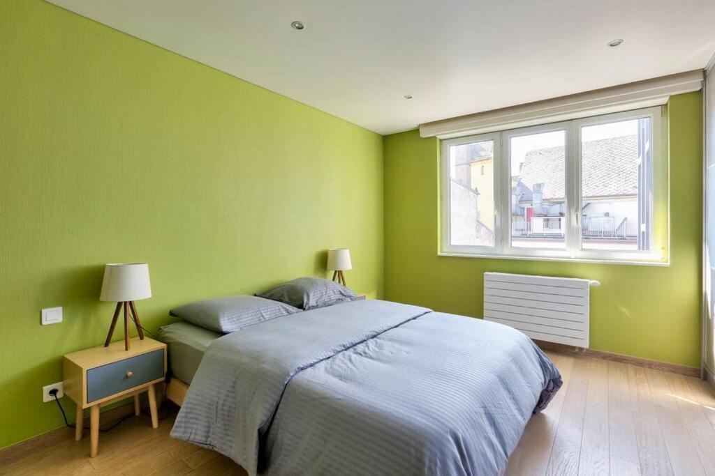 Appartement Spacieux Au Coeur De ストラスブール エクステリア 写真